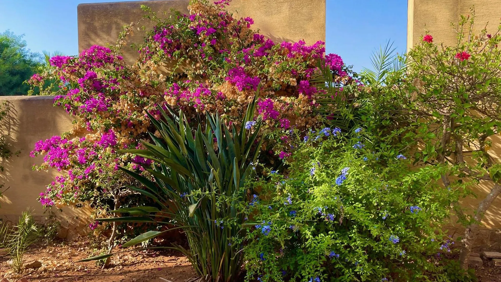 Villa Amerigo, Appartamento Sul Mare, Garden, Parking Marausa Apartment