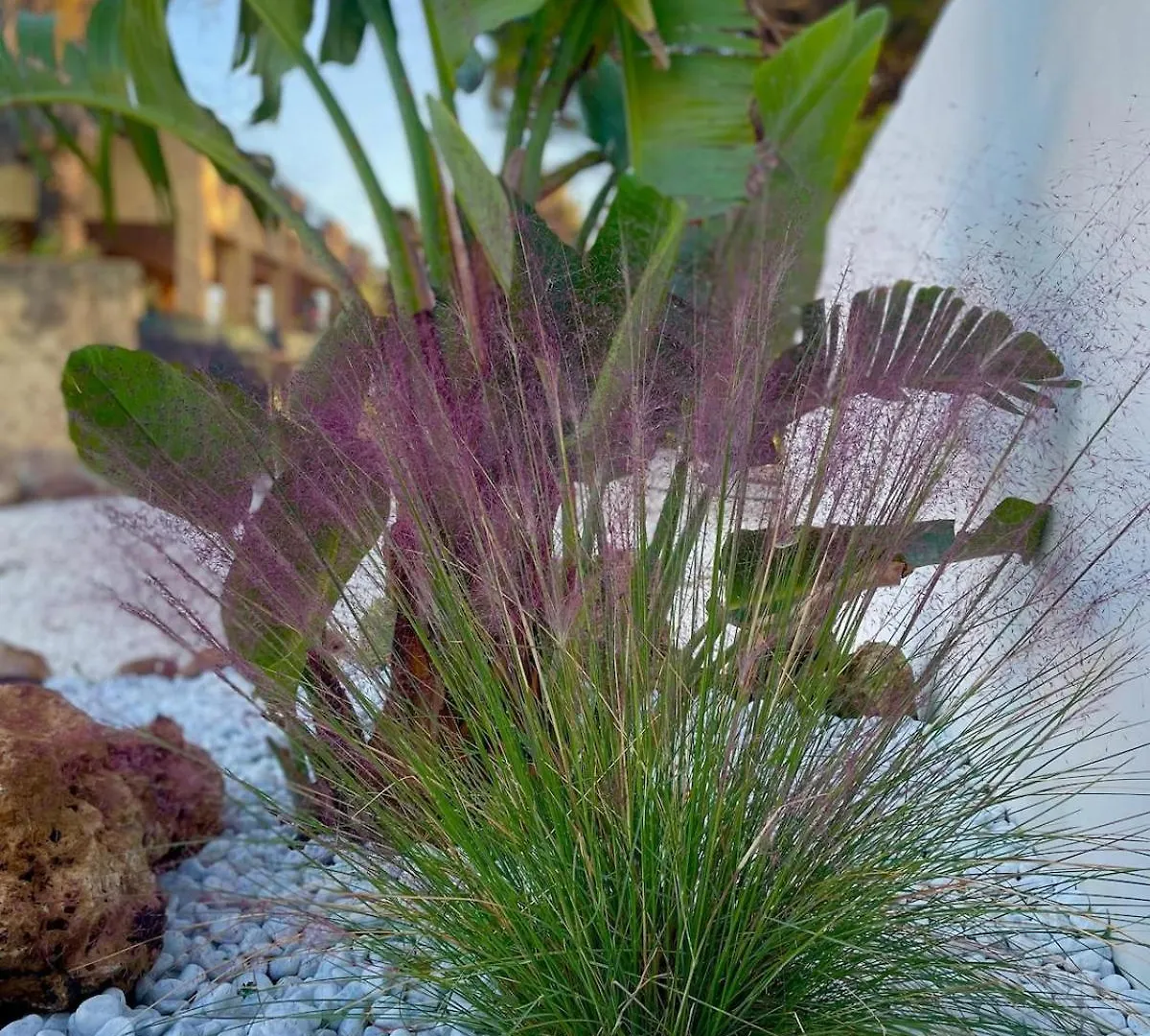 Apartment Villa Amerigo, Appartamento Sul Mare, Garden, Parking Marausa
